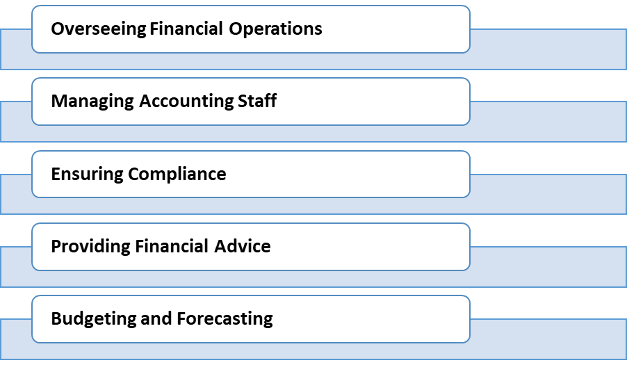 Roles and Responsibilities of Senior Accounting Manager